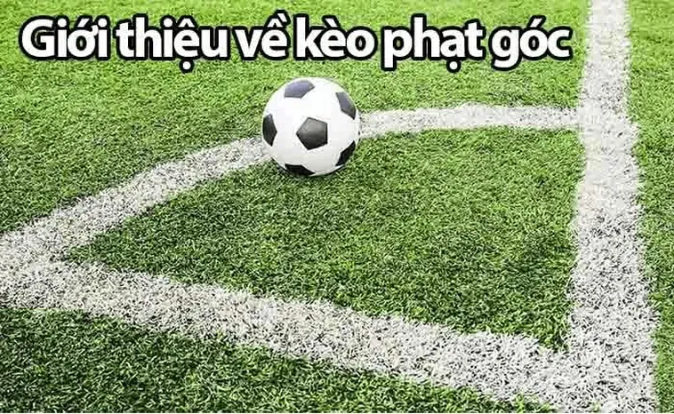 Quả Phạt Góc Trong Bóng Đá: Bí Quyết Chiến Thắng Của Các Đội Tuyển